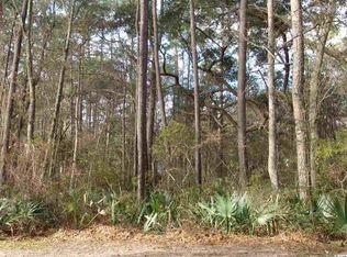 391 Old Carriage Loop, Georgetown, SC 29440