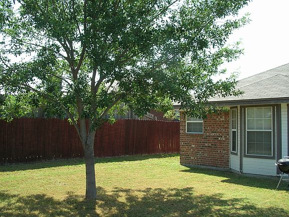 Backyard - Aug 2006