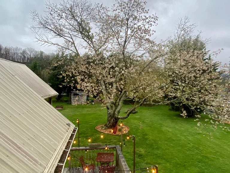 316 Tater Hill Rd #A — Photo 7