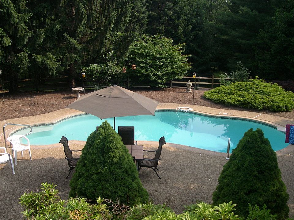 Pool in yard