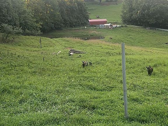 2nd image of 555 New Clear Branch Rd