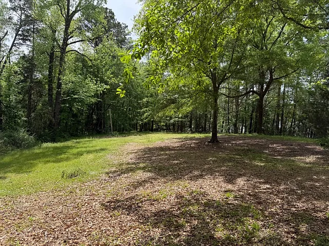 1158 Burt Loop Road - 1 — Photo 3
