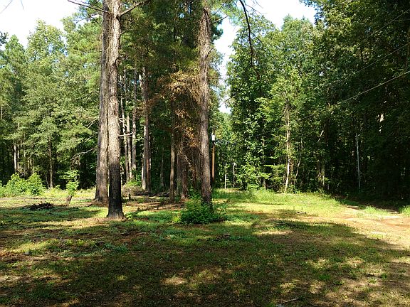 5th image of 1335 Highway 261 S #Land