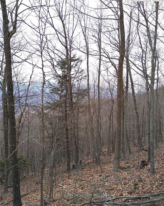 1st image of TBD, Lot #251 Thomas Dr/ Abbie Trail Drive