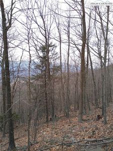 TBD, Lot #251 Thomas Dr/ Abbie Trail Drive, West Jefferson, NC, 28694
