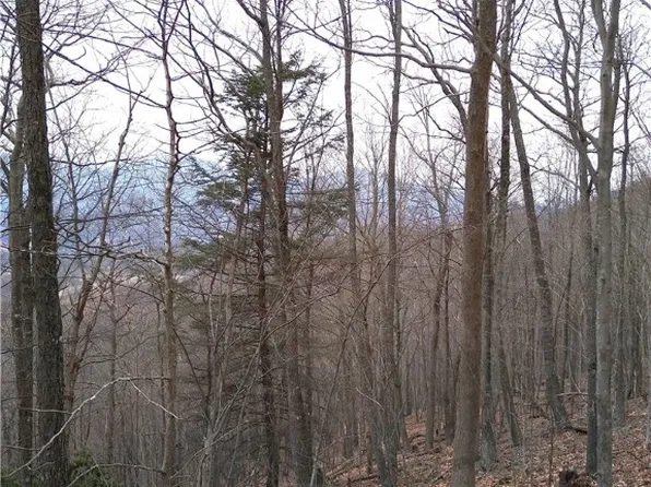 TBD, Lot #251 Thomas Dr/ Abbie Trail Drive, West Jefferson, NC 28694