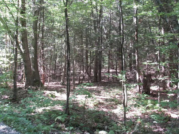 6-006 Round Hill Rd, Chester, MA 01011