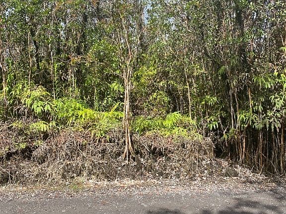 4th image of Road 1 Uhini Ana Lot 2280