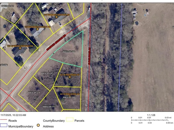 112 Diamond Branch Rd., Johnsonville, SC 29555