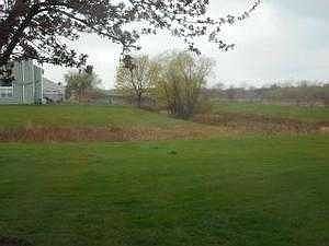 back yard