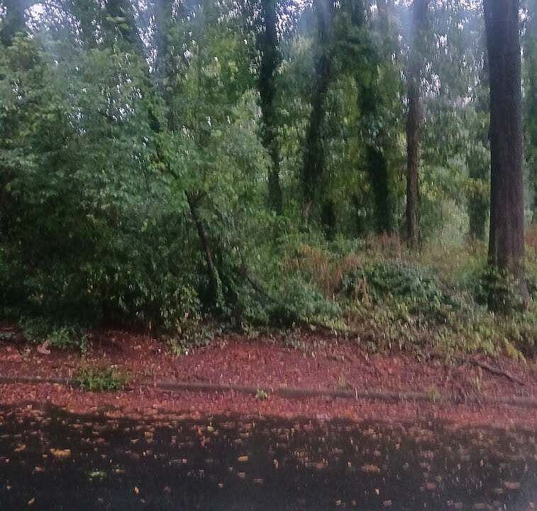 1st image of 3193 Altacrest Dr