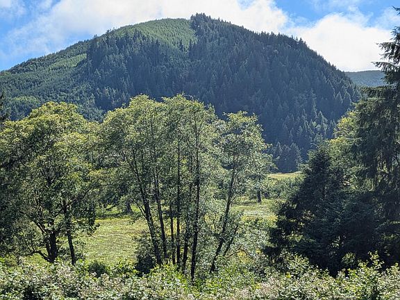 2nd image of Tl 801 Siletz Hwy