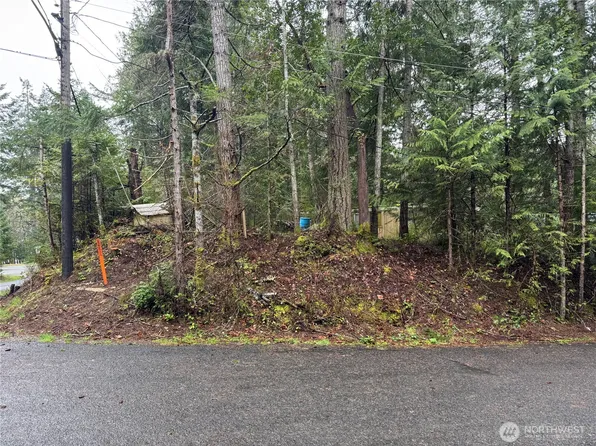 11 Bayview Court, Brinnon, WA 98320