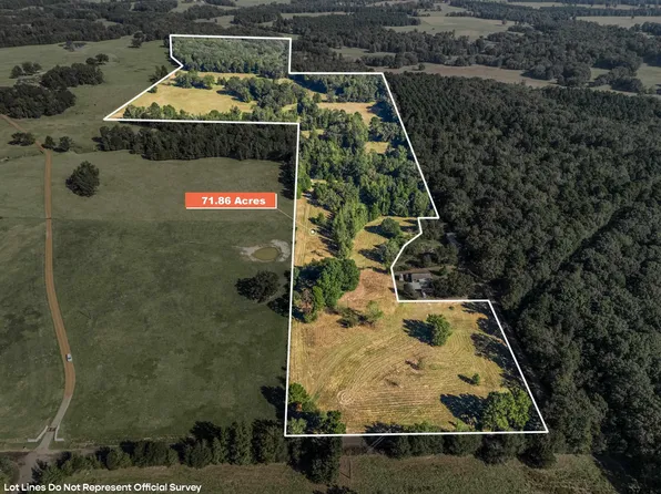 Giraffe Rd, Gilmer, TX 75644