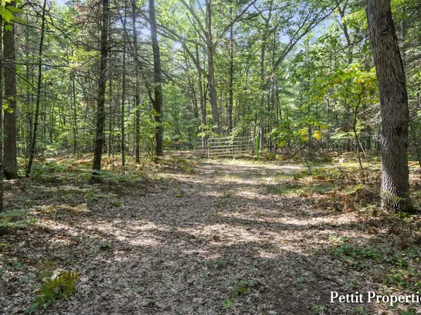 142 V L S 142nd Ave, Rothbury, MI 49452