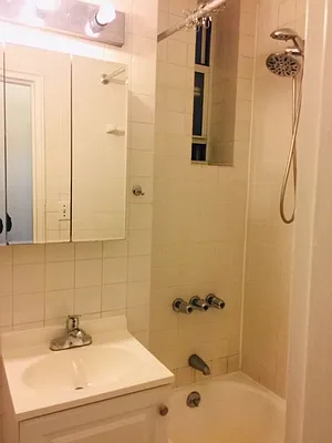 Rented by Manhattan Flats | media 9