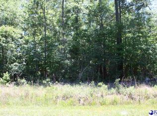 S Persimmon Ford Rd, Johnsonville, SC 29555