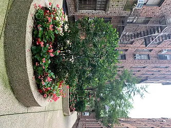 Rented by Keller Williams Realty Landmark II