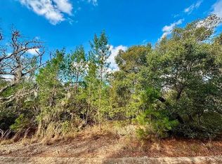 NE 239th Pl LOT 3, Fort Mc Coy, FL 32134