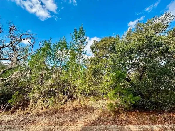 NE 239th Pl Lot 3, Fort Mc Coy, FL 32134