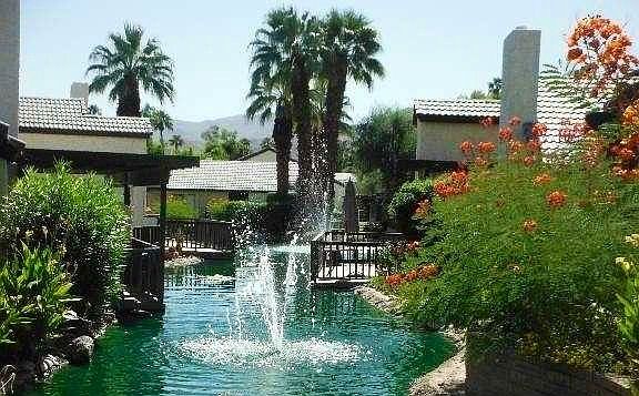 Lagoon off of patio