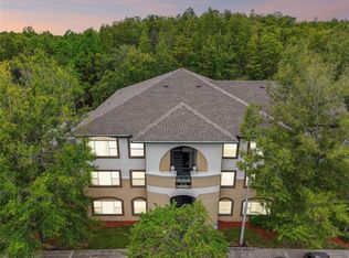 17108 Carrington Park Dr APT 704, Tampa, FL 33647