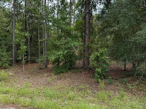 2nd image of 6461 N ELNORA WAY LOT 14