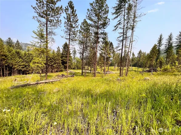0 Lot 4 Vista Drive, Republic, WA 99166