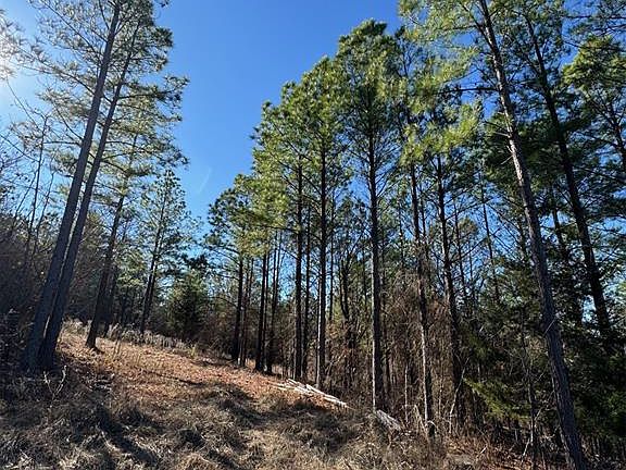2nd image of 85 Timber Holler Trl Lot 528
