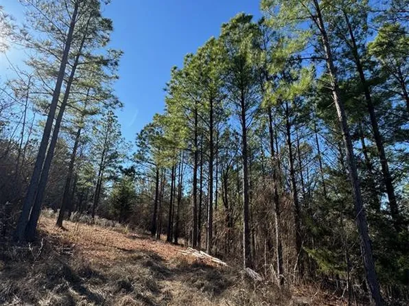 85 Timber Holler Trail, Broken Bow, OK 74728