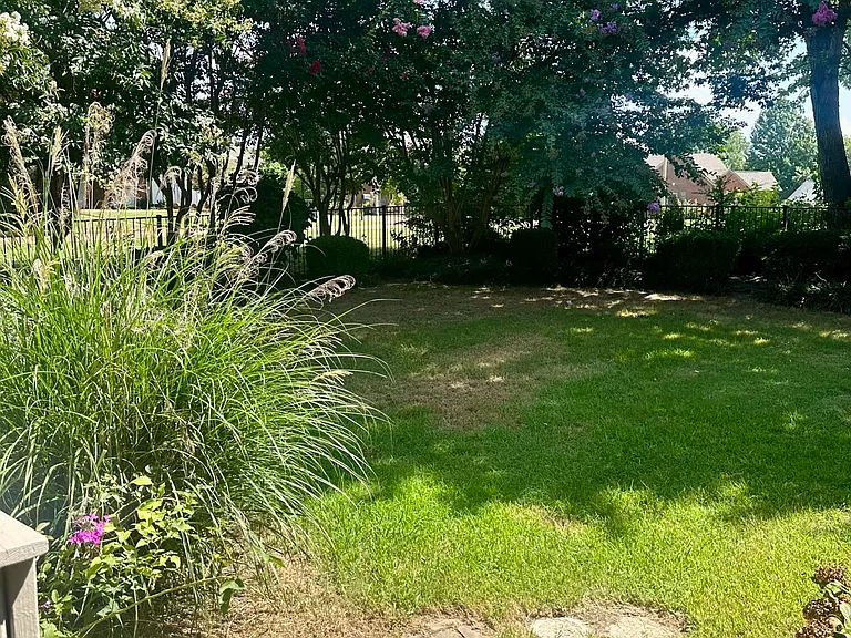 814 Byhalia Rd — Photo 11