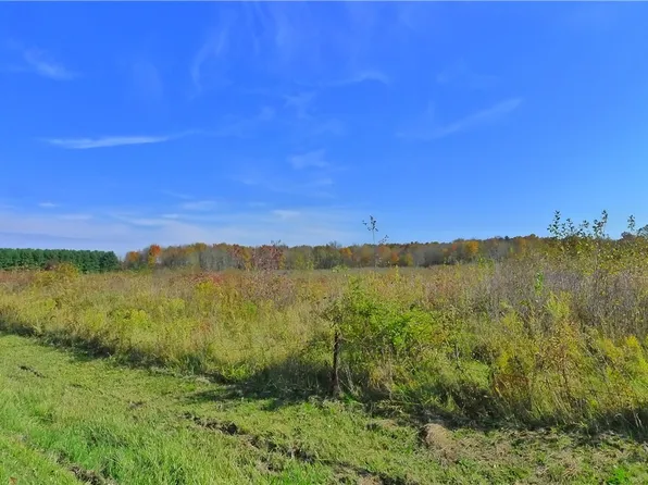 Haskins Rd, Chagrin Falls, OH 44023
