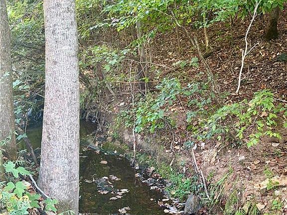 3rd image of 0 Old Roanoke Rd