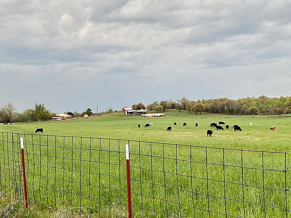 4th image of 3677 Old Highway 81