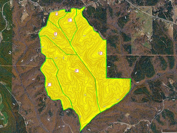 3rd image of 0 Young Loop #7206