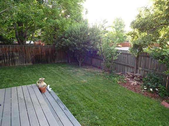 apples trees in back yard