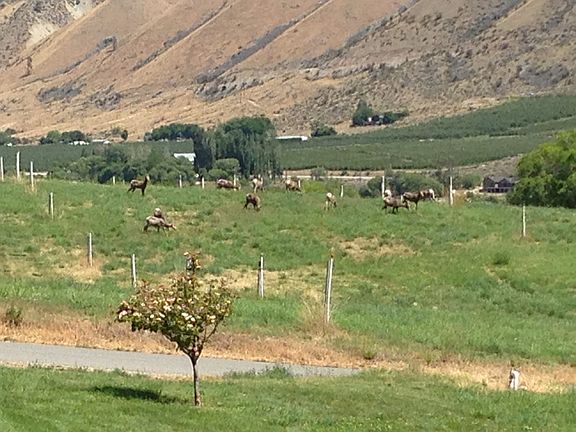 Big Horn next door