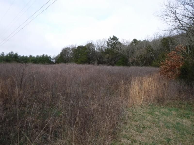 1st image of 10 Holleman Bend Ln