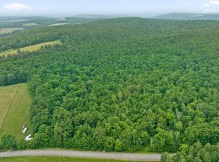 99 Rich Hill Rd, Whitney Point, NY 13862