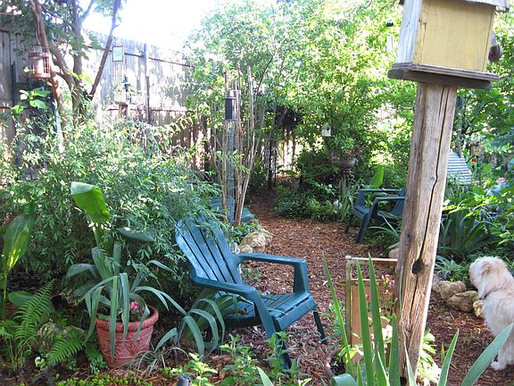 Back Fence Area