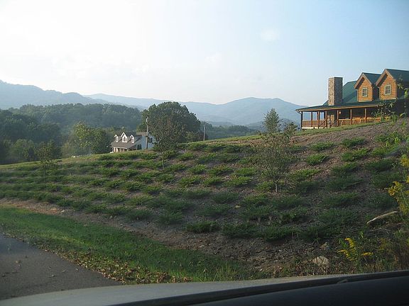 Spectacular subdivision