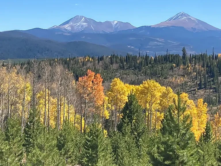 8500 Ryan Gulch Rd — Photo 24
