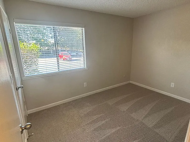 Olive Glen — Photo 7