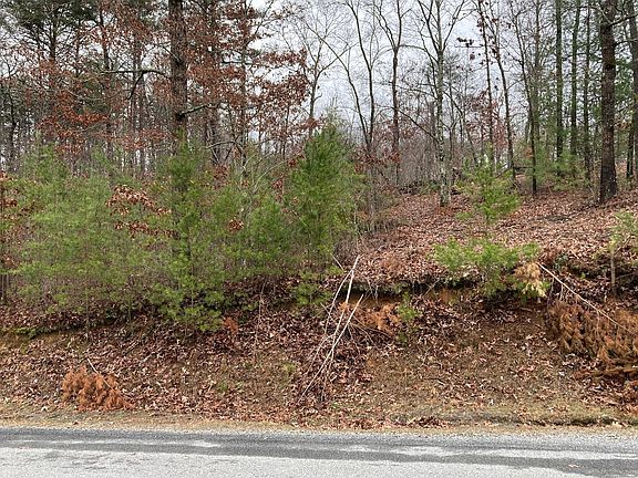 3rd image of LOT 59 Old Toccoa Loop #59