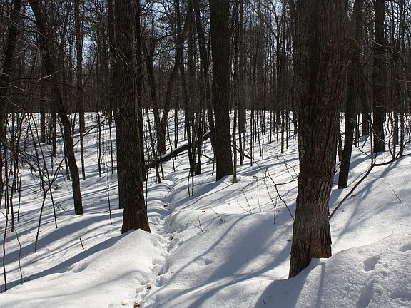 2nd image of On West Rapids Rd