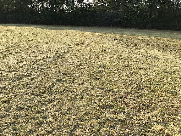 Top of Hill/Possible B. Site