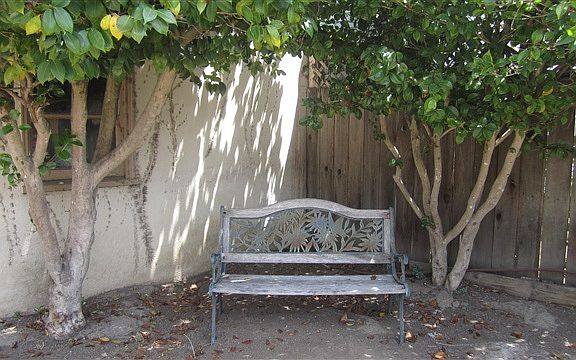5th image of 251 Garcia Ave