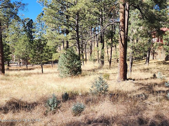 2nd image of 604 White Mountain Meadows Dr