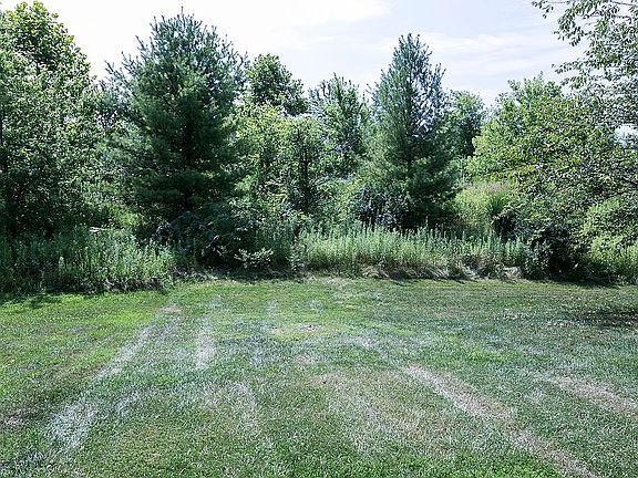 View from rear windows