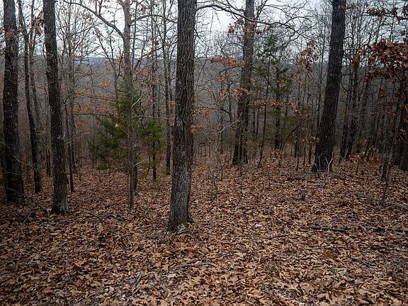 3rd image of 0 Nubbin Ridge Rd